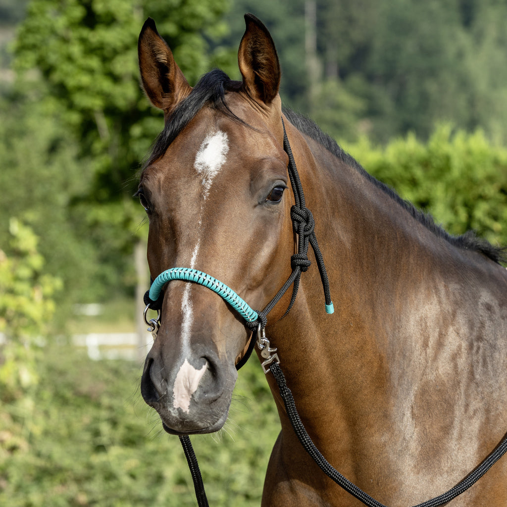NEU – Seilhalfter mit Zügeln – Diamanten