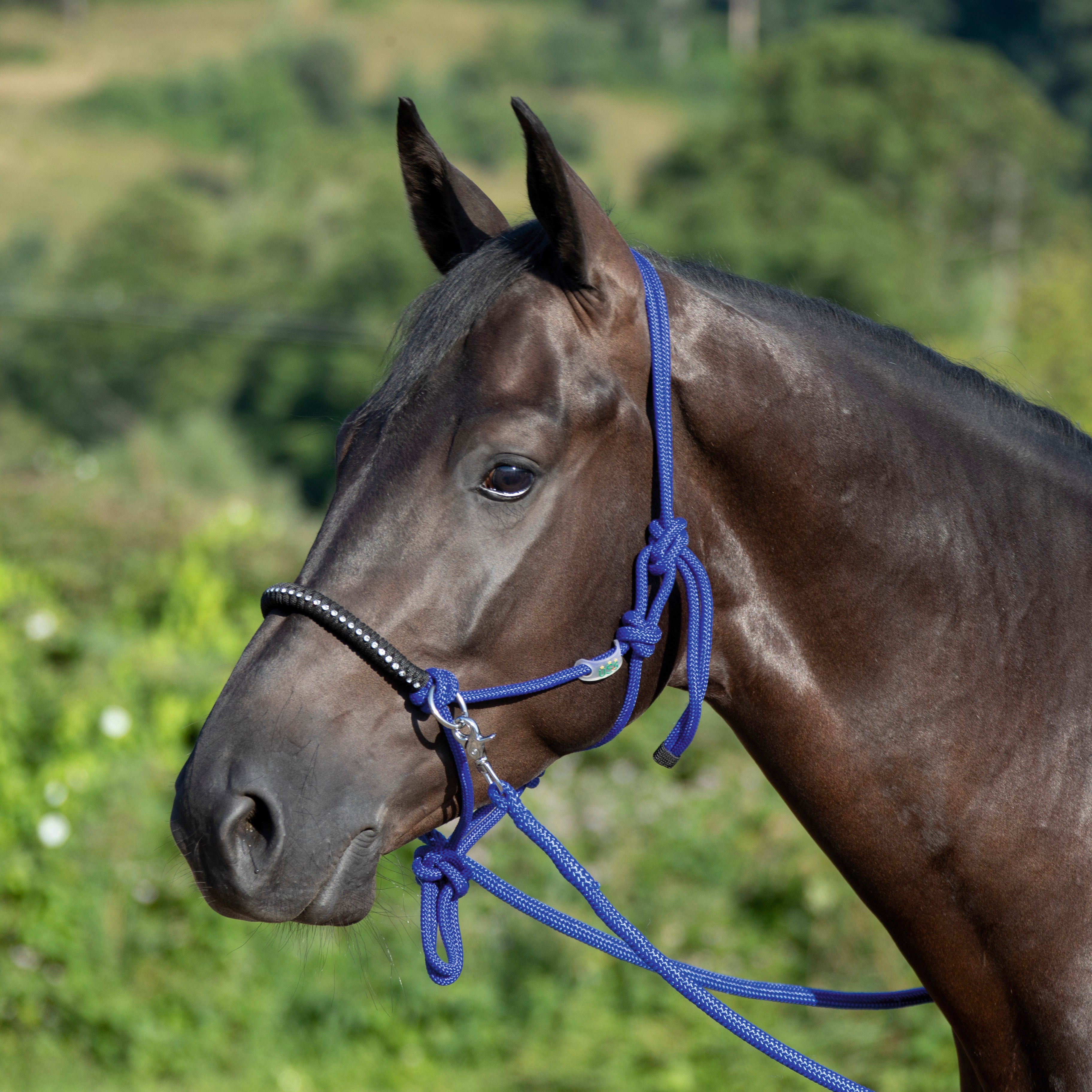 NEU – Seilhalfter mit Zügeln – Diamanten