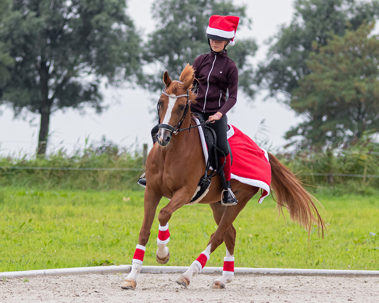 Weihnachtsverbände