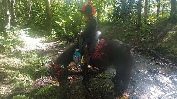Young child riding a pony with an inky dinky sadle